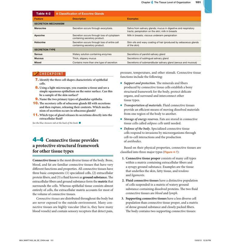 Figure 4-7: Major Types of Connective Tissue — classification overview